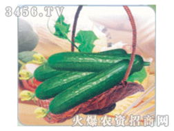 蔬菜種子招商 蔬菜種子代理 蔬菜種子類產(chǎn)品加盟連鎖批發(fā)